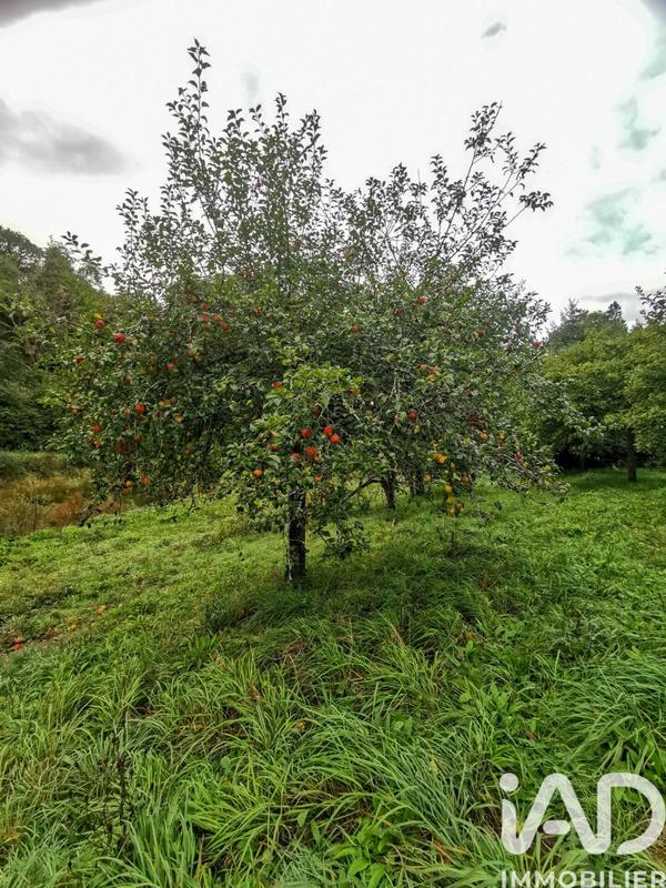 Terrain agricole - 15 000 m²