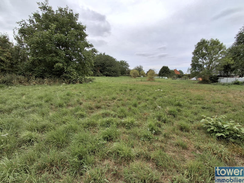 Terrain - 10 000 m²