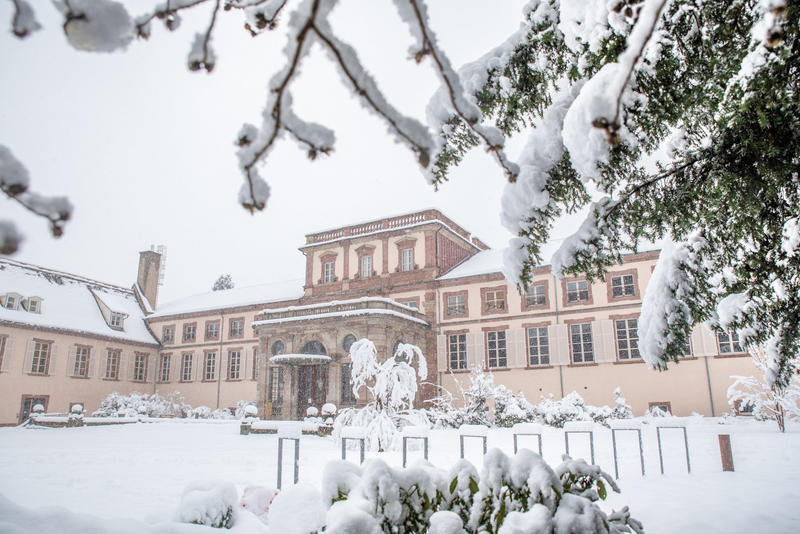 Chasse aux trésors de Noël : Sur les pas bleus du lutin malicieux !