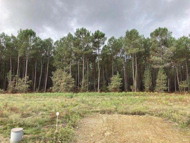 Maison - 60 m² - 3 pièces