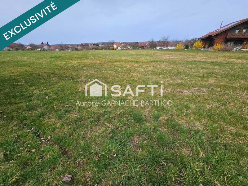 Terrain - 1 317 m²