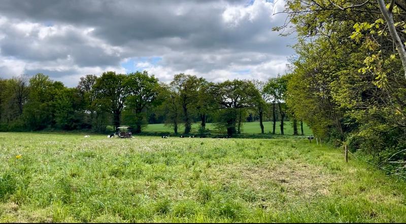 Maison de domaine équestre - 140 m² - 6 pièces