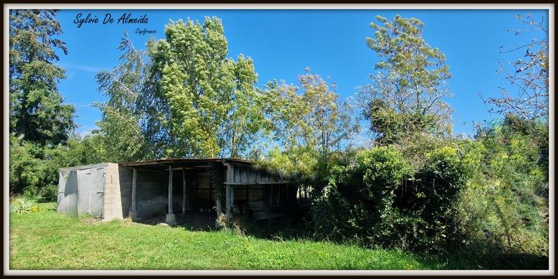 Maison - 85 m² - 5 pièces