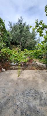 Maison - 210 m² - 8 pièces