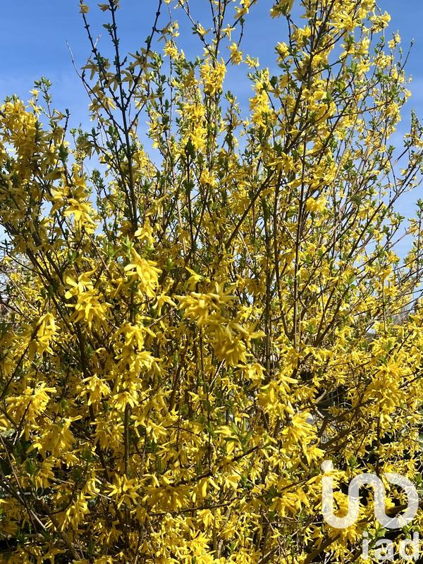 Maison - 151 m² - 6 pièces