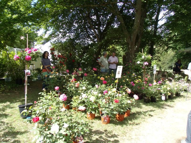Jardin en fête