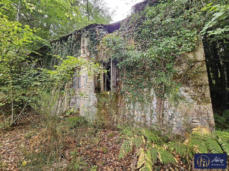 Maison ancienne - 30 m² - 1 pièce