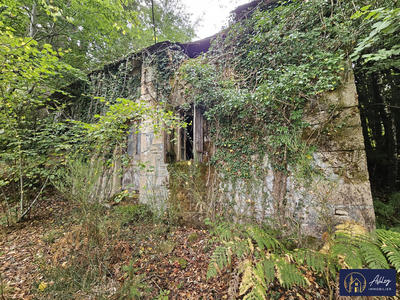 Maison ancienne - 30 m² - 1 pièce