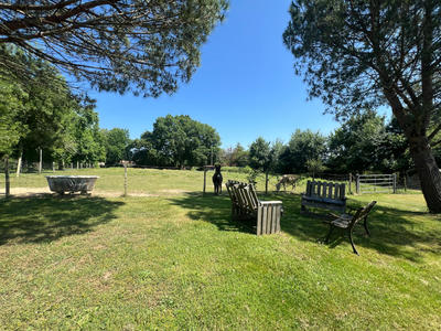 Propriété - 517 m² - 12 pièces