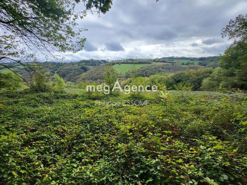 Terrain agricole - 24 638 m²