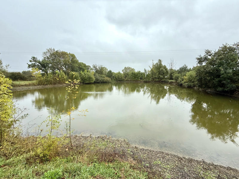 Terrain de loisirs - 6 000 m²