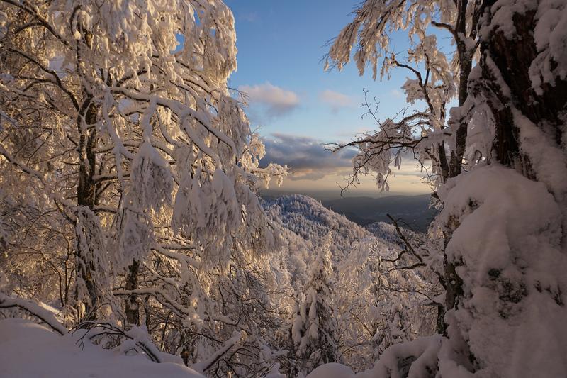 Randonnée en raquettes au Grand Ballon