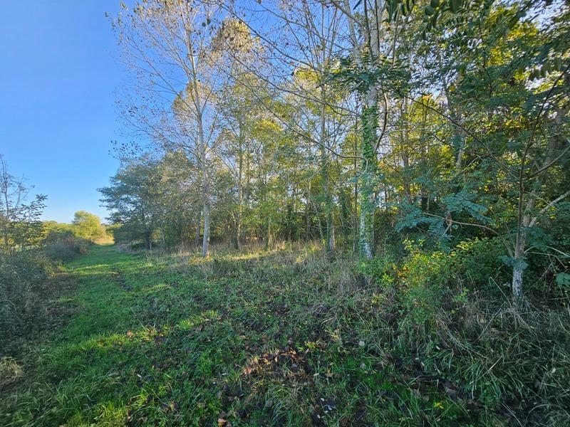 Terrain constructible - 10 452 m²