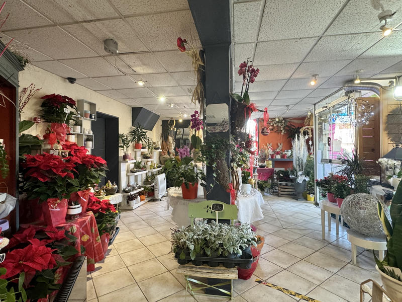 Fonds de commerce - Local commercial - 100 m²