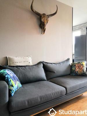 Chambre - 9 m² - 1 pièce