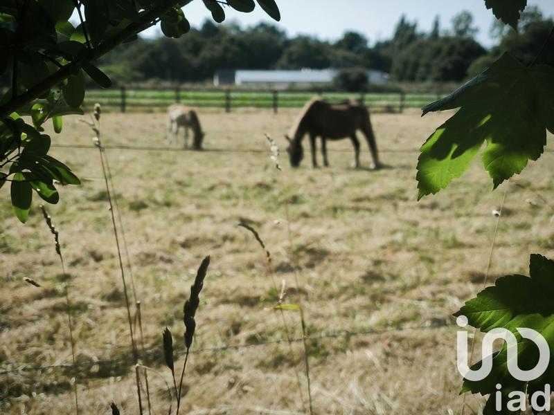 Maison - 195 m² - 7 pièces