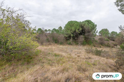 Terrain agricole - 10 601 m²