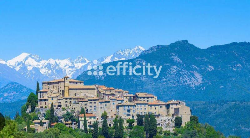 Appartement ancien - 47 m² - 3 pièces