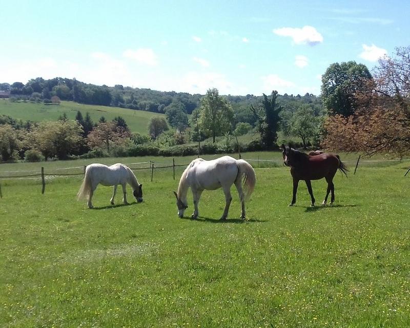 Maison traditionnelle - 140 m² - 5 pièces