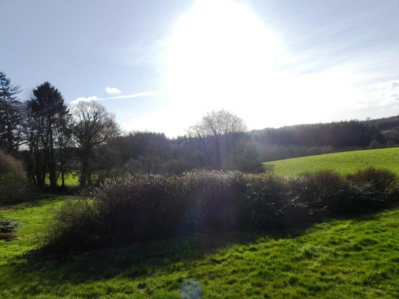 Propriété - 280 m² - 10 pièces