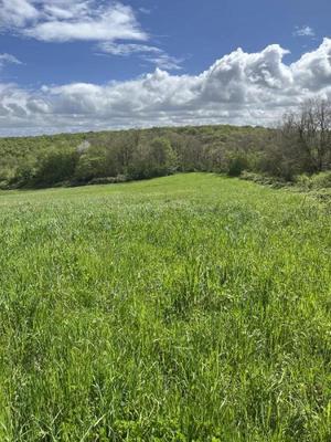 Terrain - 60 000 m²