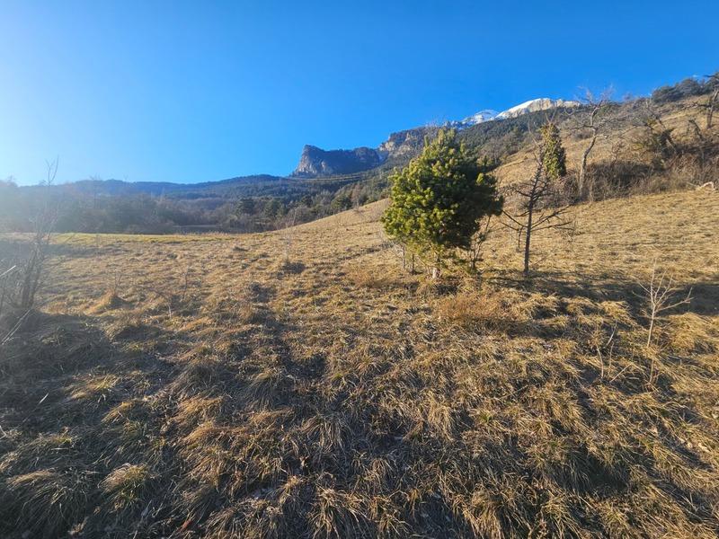 Maison - 250 m² - 8 pièces