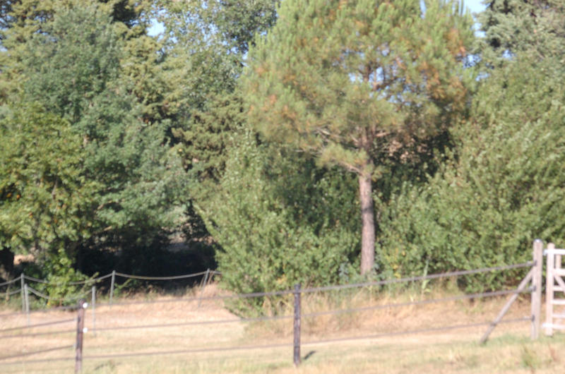 Local d'activités - 126 592 m²