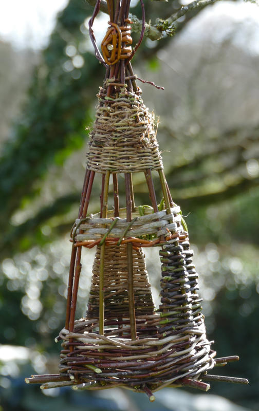 Stage de Vannerie sauvage, récolte et tressage