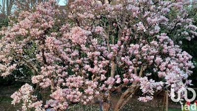 Maison de ville - 240 m² - 7 pièces