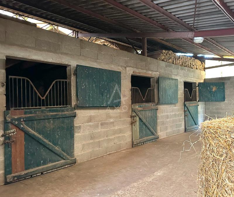 Haras - 110 m² - 5 pièces
