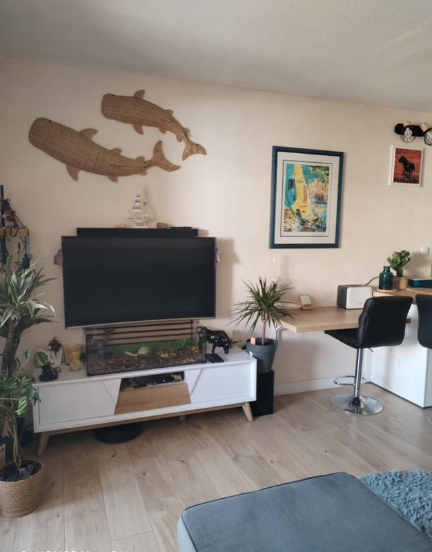 Duplex - 55 m² - 3 pièces