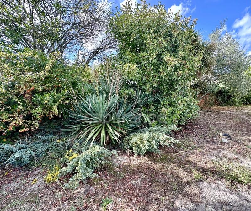 Maison - 104 m² - 4 pièces