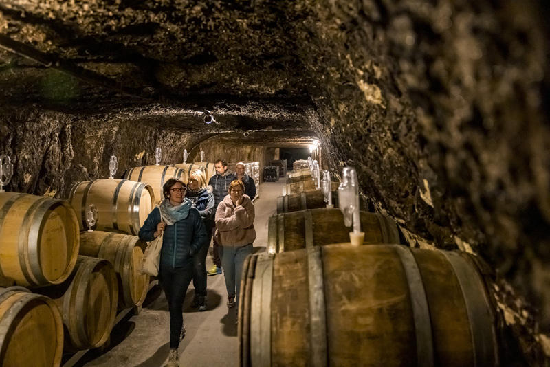 De la vigne au verre de vin