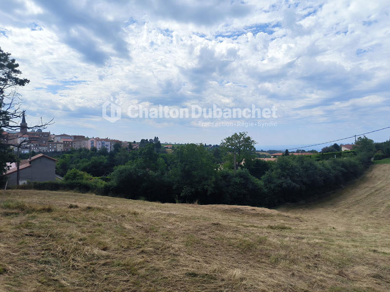 Terrain - 4 682 m²