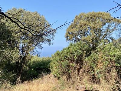 Terrain constructible - 7 644 m²