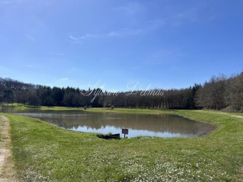 Château - 2 000 m² - 50 pièces