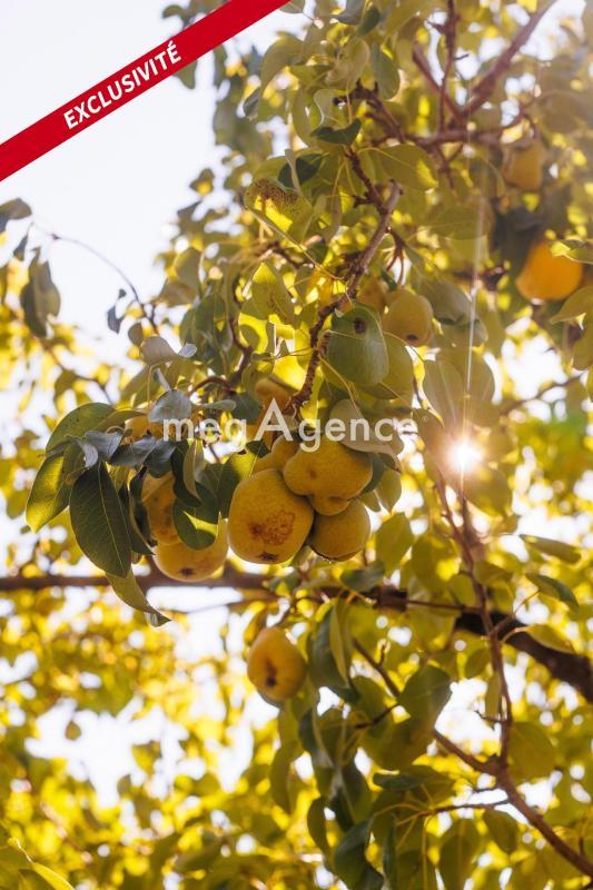 Maison - 160 m² - 7 pièces