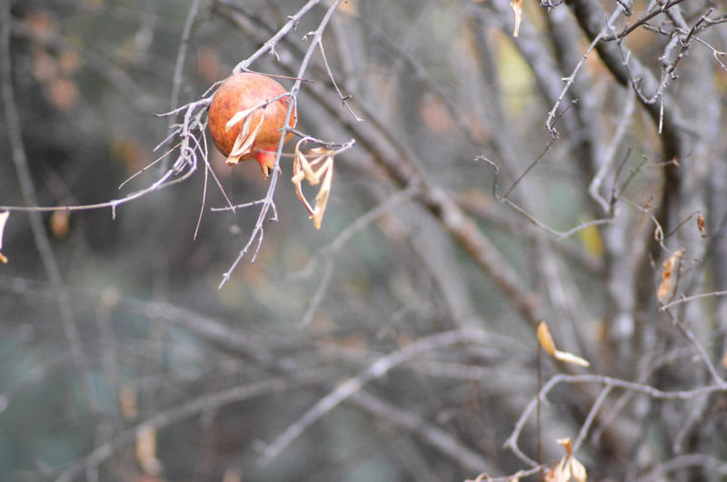 Maison - 127 m² - 5 pièces