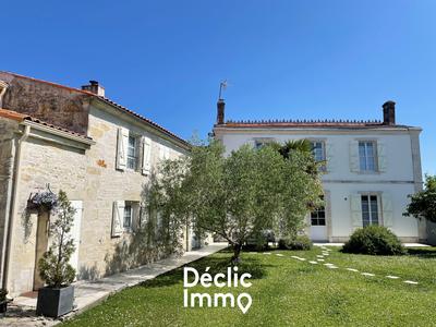 Maison en pierre - 265 m² - 7 pièces
