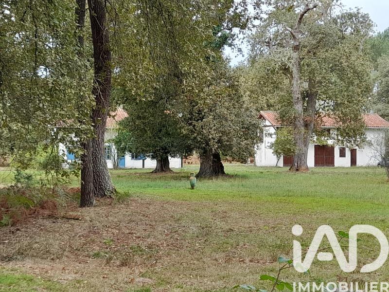 Maison de campagne - 133 m² - 5 pièces