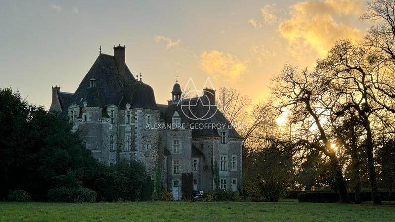 Château - 1 100 m² - 19 pièces