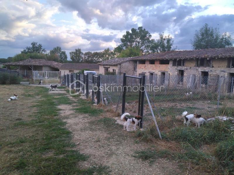 Corps de ferme - 81 m² - 2 pièces