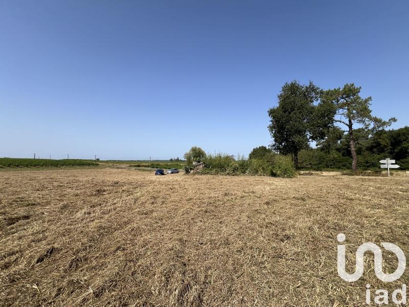 Terrain - 11 204 m²