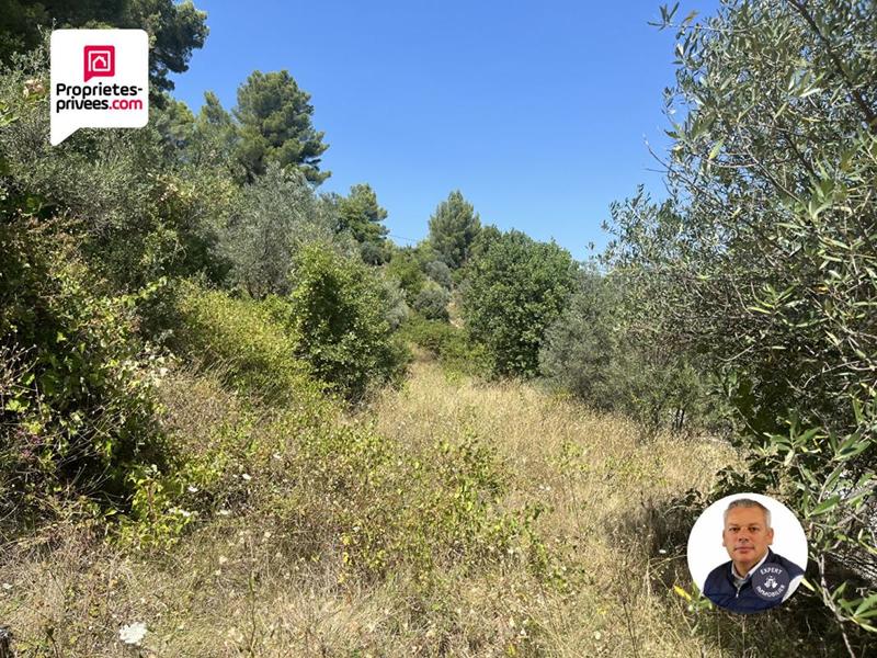 Terrain constructible - 5 626 m²
