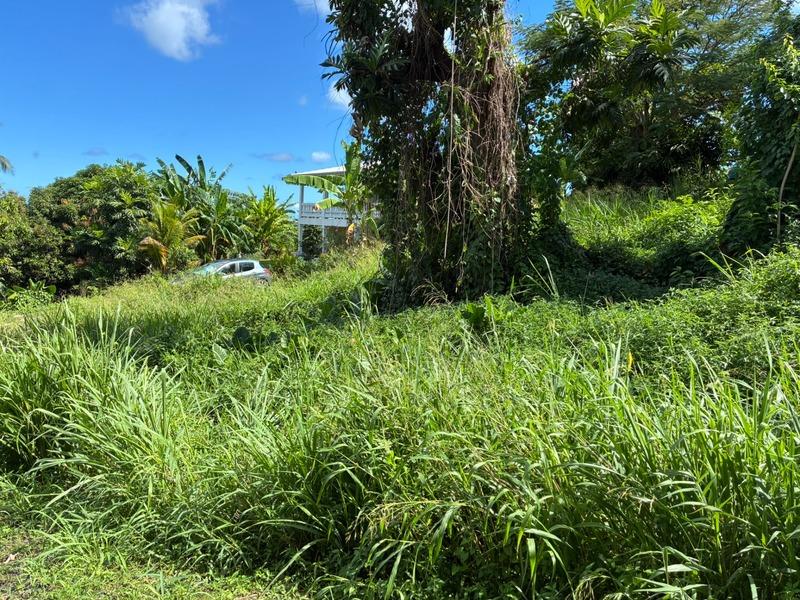 Terrain constructible - 1 075 m²