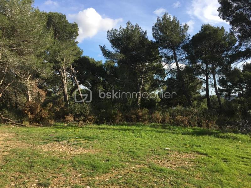 Terrain de loisirs - 4 644 m²