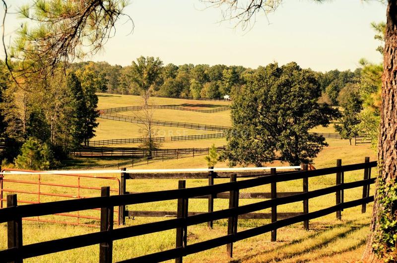 Maison de domaine équestre - 120 m² - 4 pièces