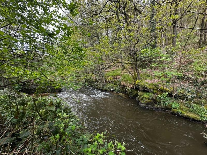 Maison en pierre - 170 m² - 6 pièces