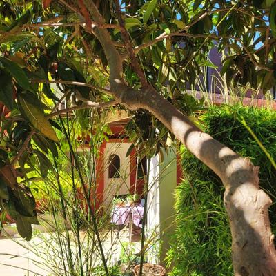 Villa - 300 m² - 10 pièces