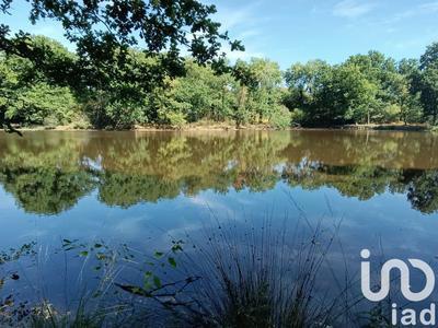 Terrain - 37 398 m²